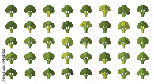 Broccoli vector collection in flat style design isolated on white background. healthy vegetable set