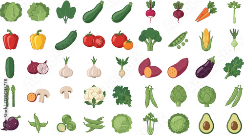 Diverse array of fresh vegetables and produce, clean flat illustration