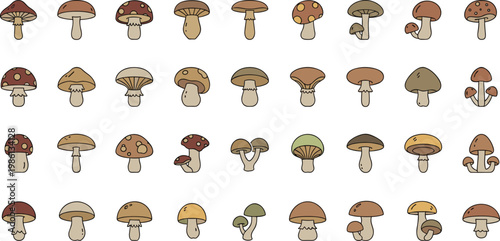 Variety of cute mushroom illustrations, simple designs and natural colors for whimsical nature themes