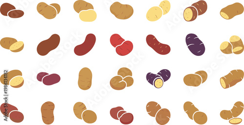 Variety of fresh potatoes, root vegetables in different colors and shapes
