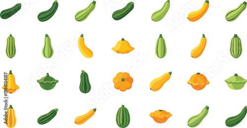 Vegetable icons set of squash zucchini marrow and pumpkin flat vector illustration on white backdrop