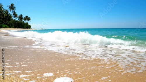Serene Tropical Beach Landscape with Palm Trees and Gentle Waves on Sandy Shore