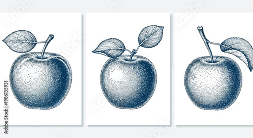 Three Stippled Apples with Leaves on White Background