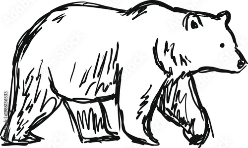 Hand drawn bear illustration black and white sketch of a walking bear in outline wildlife animal drawing clipart