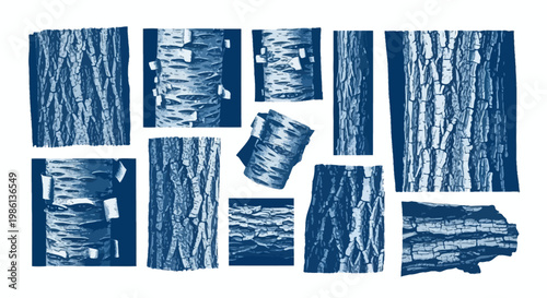 Collection of Textured Tree Bark Close-ups, Blue Monochrome Tones