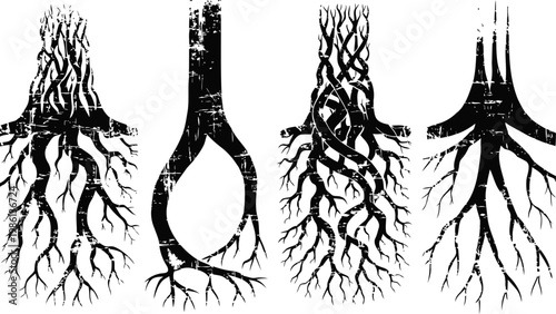 black tree roots silhouettes collection detailed underground root system designs in various shapes and styles