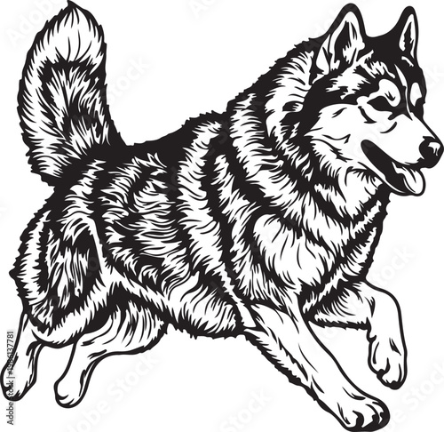 Fényképezés Cute husky dog vector illustration with shaggy fur standing isolated on white ba