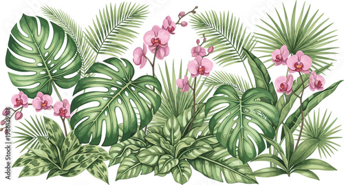 Tropical monstera leaves with palm fronds, lush jungle foliage and pink orchids, exotic rainforest botanical illustration, vibrant floral vector artwork design