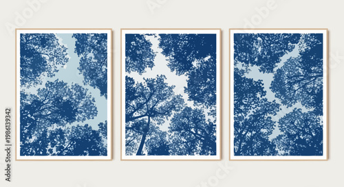 Three Framed Cyanotype Art Prints of Tree Canopy Looking Up