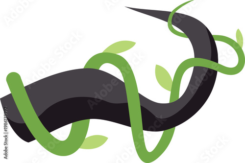 Isolated jungle liana growing around an old wooden branch