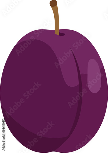 Purple plum with brown stem purple fruit shiny
