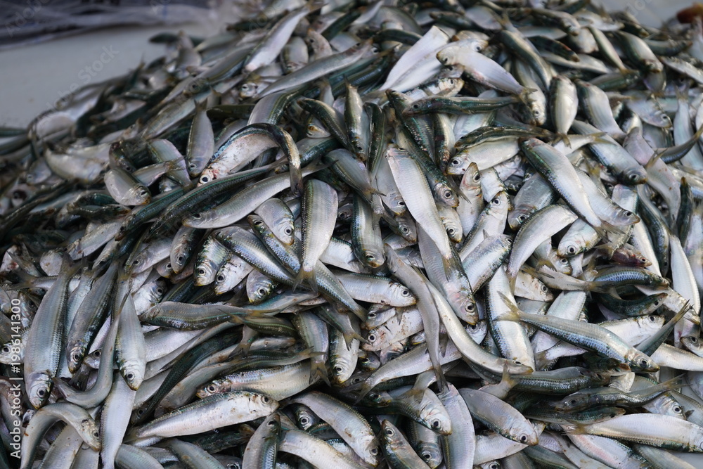 Obraz premium fish market