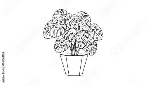 Monstera deliciosa outline plant in pot vector minimal tropical houseplant line icon illustration