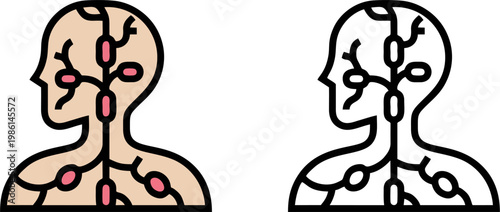 Human lymphatic system lymph node vector illustration