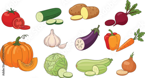 Set of fresh organic garden vegetables including tomato pumpkin cucumber carrot garlic and cabbage isolated on white background flat vector illustration
