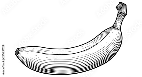 Classic vintage woodcut style illustration of a ripe banana, showcasing detailed textured lines and simple yet elegant contours.