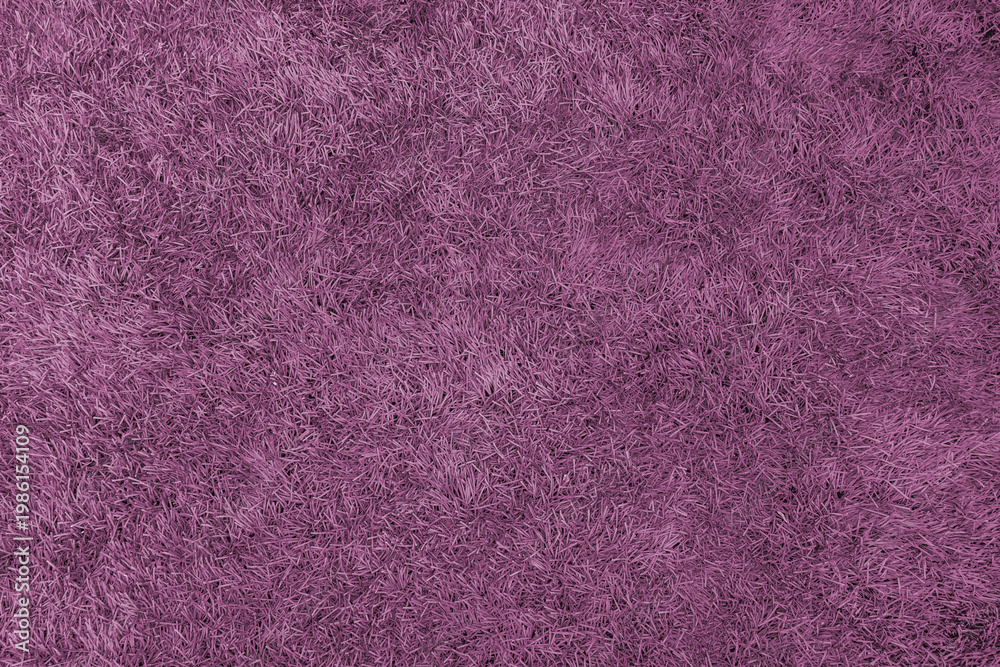 Fototapeta premium High-resolution grass texture series with light, medium, and dark color variations for creative garden backgrounds and organic patterns
