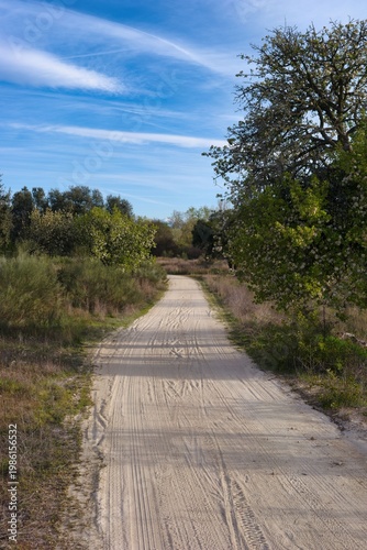 Path through a natural area in a rural landscape during daytime under a clear sky with a few clouds