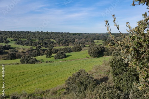 Green fields and trees cover rolling hills in a rural area during daylight hours in the countryside of southern Spain