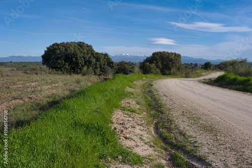 Scenic dirt road winding through lush green grass under a blue sky with distant mountains visible