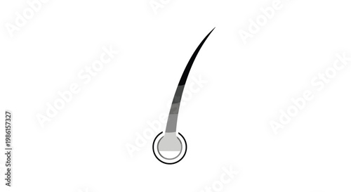 A single detailed hair strand emerges from a circular follicle bulb displaying a smooth grey to black gradient against a pure white background space.