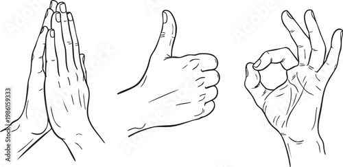 hands with different gestures on white backgroundAn illustration of three hands with various gestures: praying, thumbs up, and ok. This image can be used for business, education, or communication con 