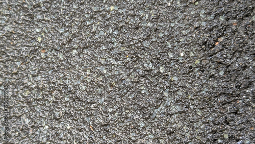 Asphalt style roof shingle texture background