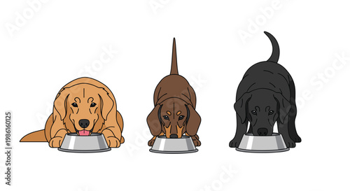 Golden Retriever, small Dachshund, and sleek Black Labrador enjoy their meal from polished silver bowls against a pristine white background setting.