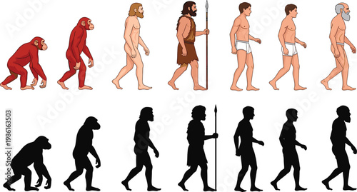 Human Evolution Set Showing Progression from Ape to Modern Man with Detailed Figures and Silhouettes Illustrating Biological Development, History, and Evolutionary Timeline Concept.