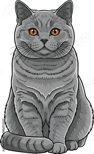 British Shorthair cat sitting upright attentive facing front illustration