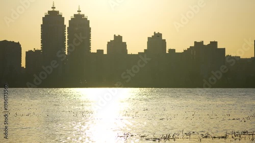 panorama of the city and river with birds at sunset