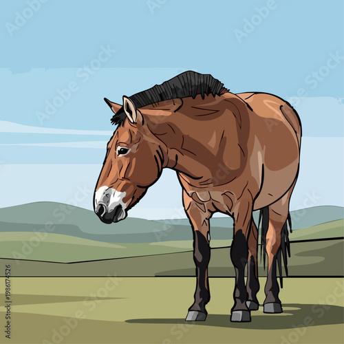 Przewalski's horse flat vector