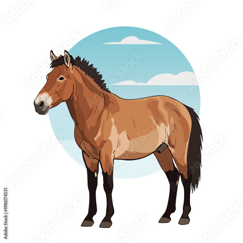 vector illustration of Przewalski's horse