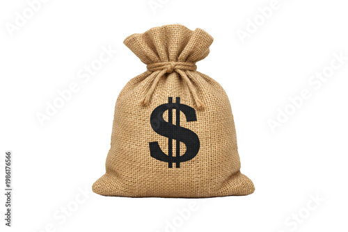 Bag with money and dollar sign isolated on transparent background..