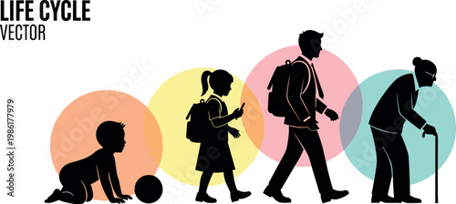 A vector illustration depicts the life cycle of humans from infancy to old age with silhouettes.