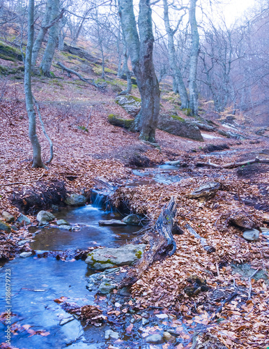 small river rushing over a stones in the mountain canyon
