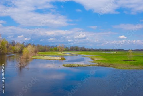 closeup forest glade with green grass stay in  the water, spring forest flood  scene