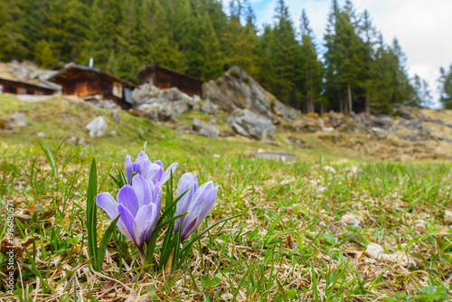 Frühjahr bei den Alm- und Berghütten im Zillertal Tirol Österreich
