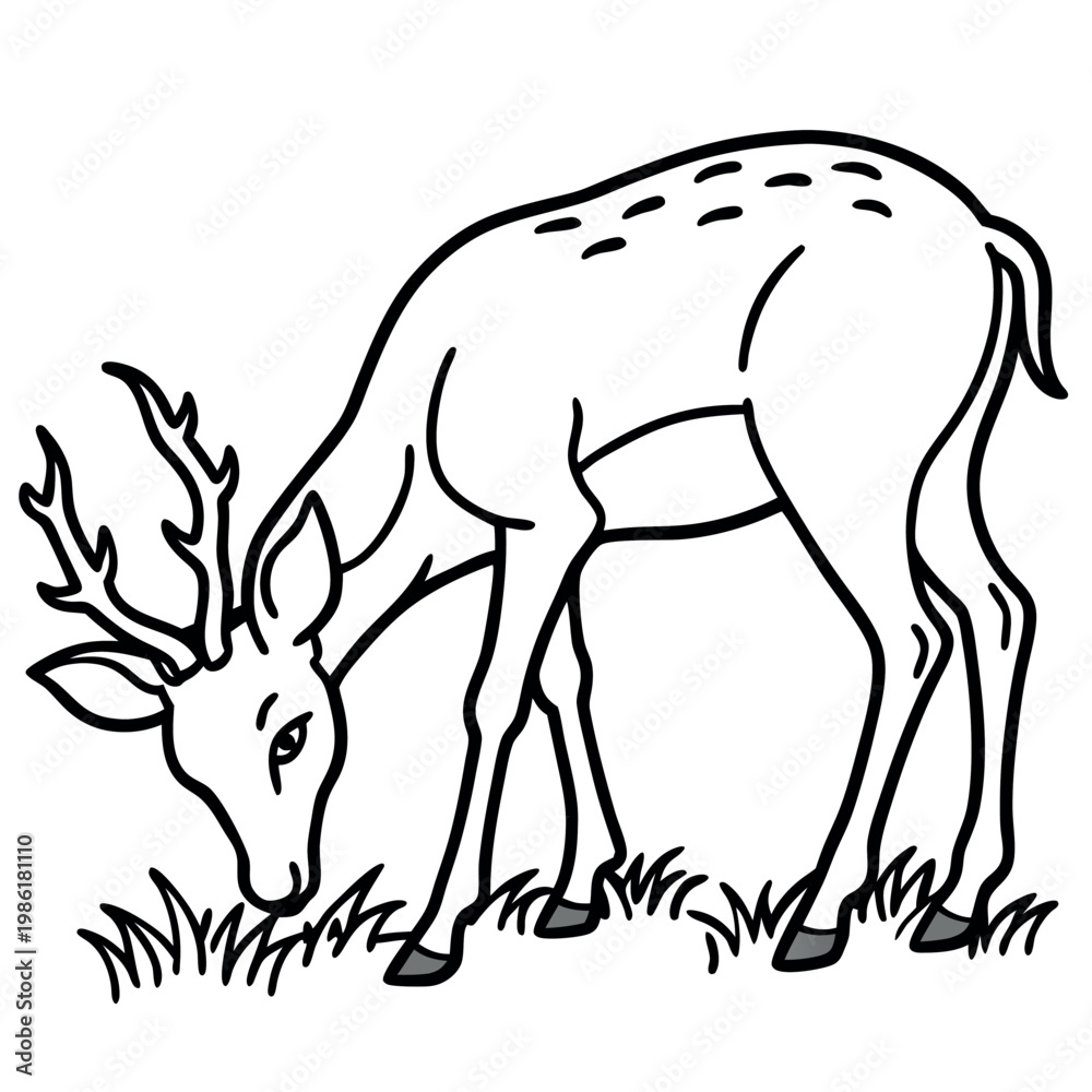 Fototapeta premium Deer eating grass line art style-in on white background. 