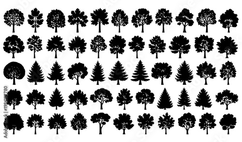 Minimal tree thin line icons vector set in circular layout with deciduous and coniferous canopy shapes for landscape design
