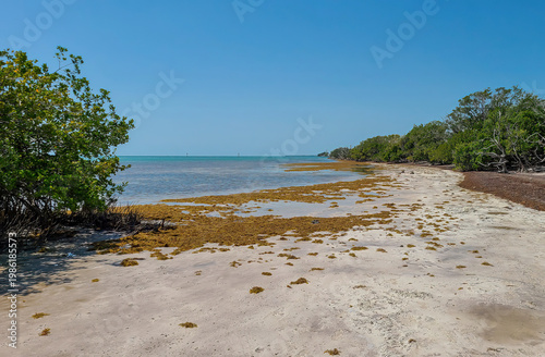 Anne's Beach Islamorada, Florida Keys