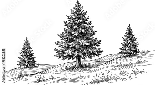 Black and white sketch of a serene landscape featuring three evergreen trees on rolling hills with grass and subtle shadows
