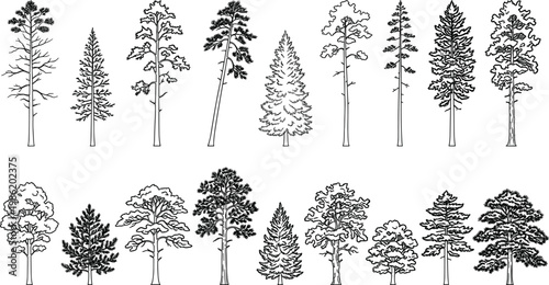 Collection of Pine Tree Illustrations in Black and White Line Art Style
