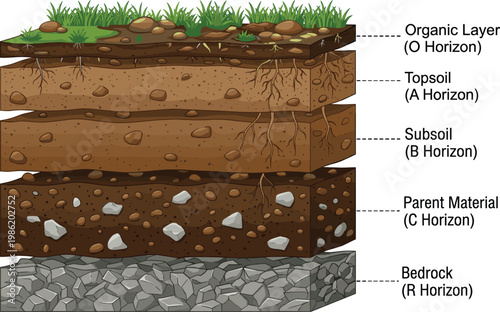 Cross-section illustration detailing the distinct layers of soil, from organic topsoil to bedrock