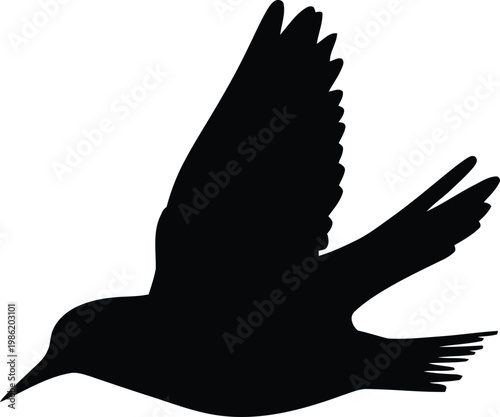 Silhouette of a bird in flight with wings spread wide against a plain background
