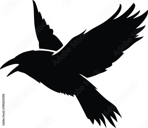Silhouette of a bird in flight with wings spread wide against a plain background