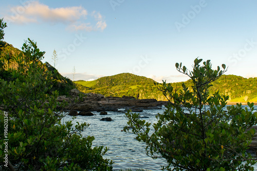 Wild beach evening