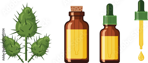 Castor Plant and Oil Vector Illustration Featuring Seed Pods, Glass Bottles, and Dropper for Natural Product Designs