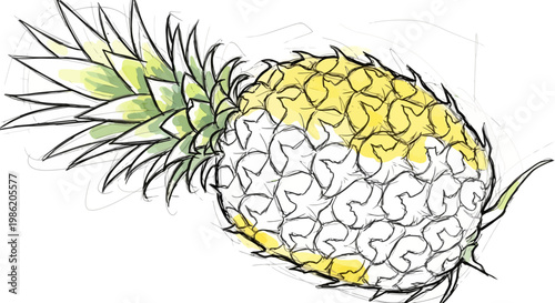 Hand Drawn Sketch of a Pineapple Fruit