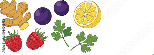 Hand Drawn Superfood Ingredient Set with Ginger Root, Blueberries, Raspberries, Lemon Slice, and Fresh Parsley Leaves, Isolated Vector Illustration
